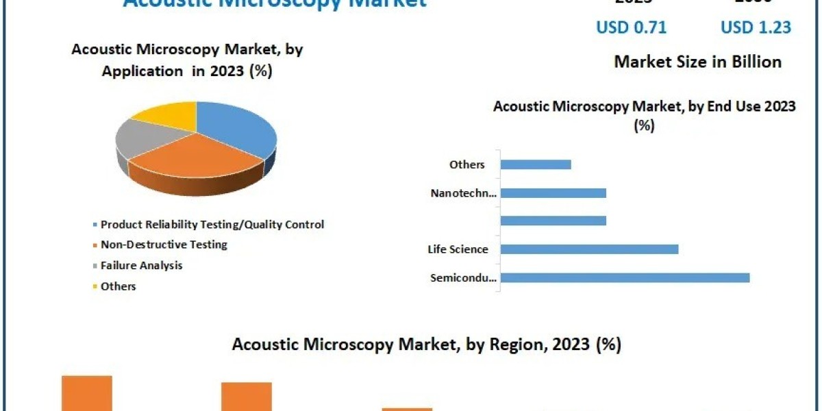 Alcoholic Ice Cream Market Development Trends, Competitive Landscape and Key Regions 2030