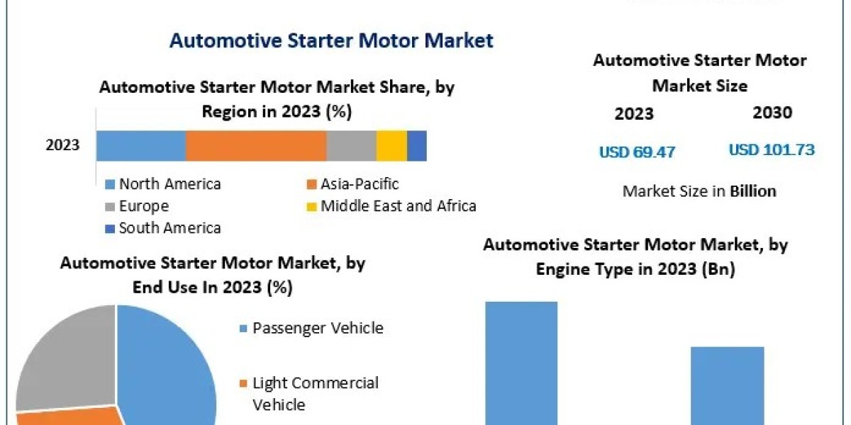 Automotive Starter Motor Market Growth in Electric Vehicles and Innovations: forecast 2024-2030