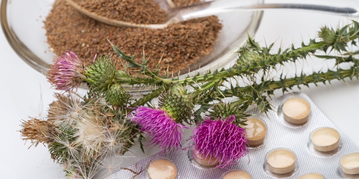 Milk Thistle Supplements Market Opportunities: Assessing the Potential for New Market Entrants and Investment in the Gro