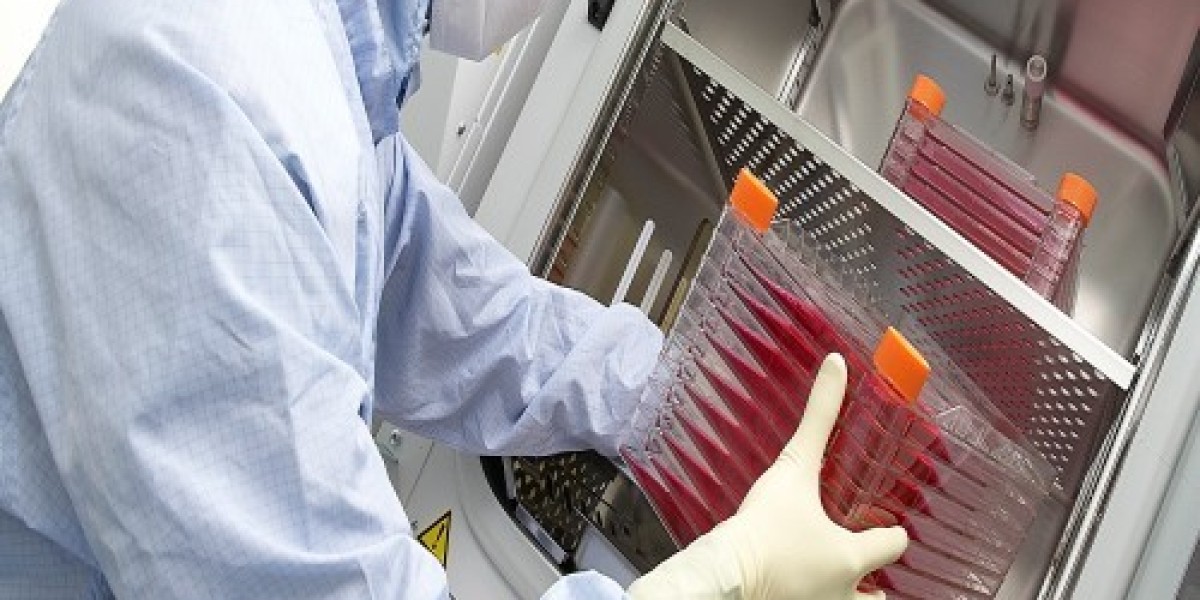 Human Embryonic Stem Cells: Revolutionizing Drug Discovery and Development A Glimpse into the Future