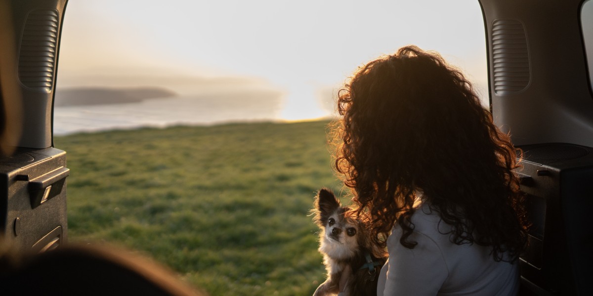 Delta Airlines Pet Policy: What You Need to Know