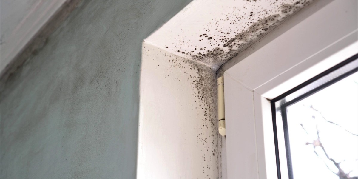 Comprehensive Guide to Housing Disrepair Claims: Protecting Your Rights