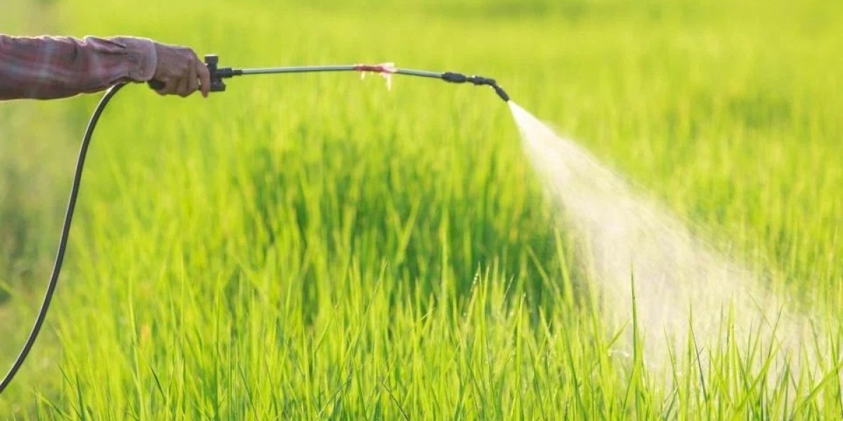 Crop Protection Chemicals Market Insights: Key Drivers Shaping the Future of Agriculture