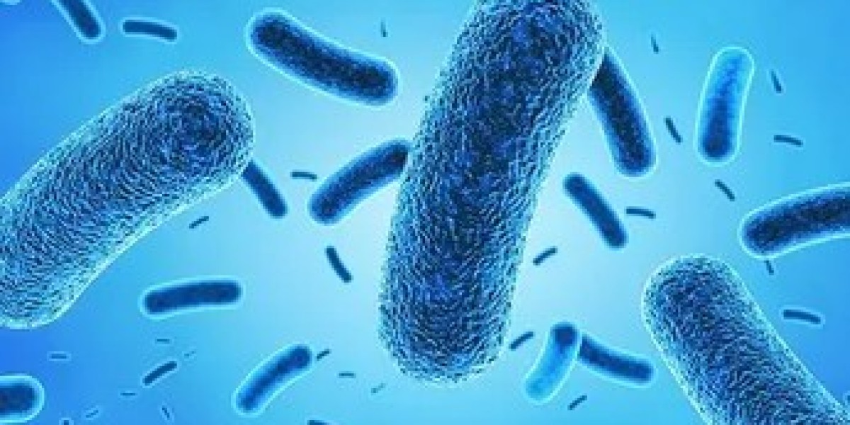 Antimicrobial Coatings Market Supply and Demand with Size by 2034