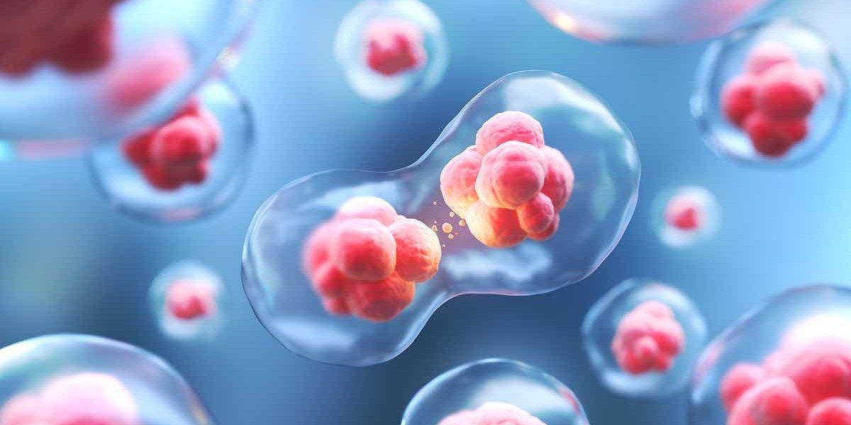 Autologous Cell Therapy Market: Key Factors Impacting Growth and Innovation