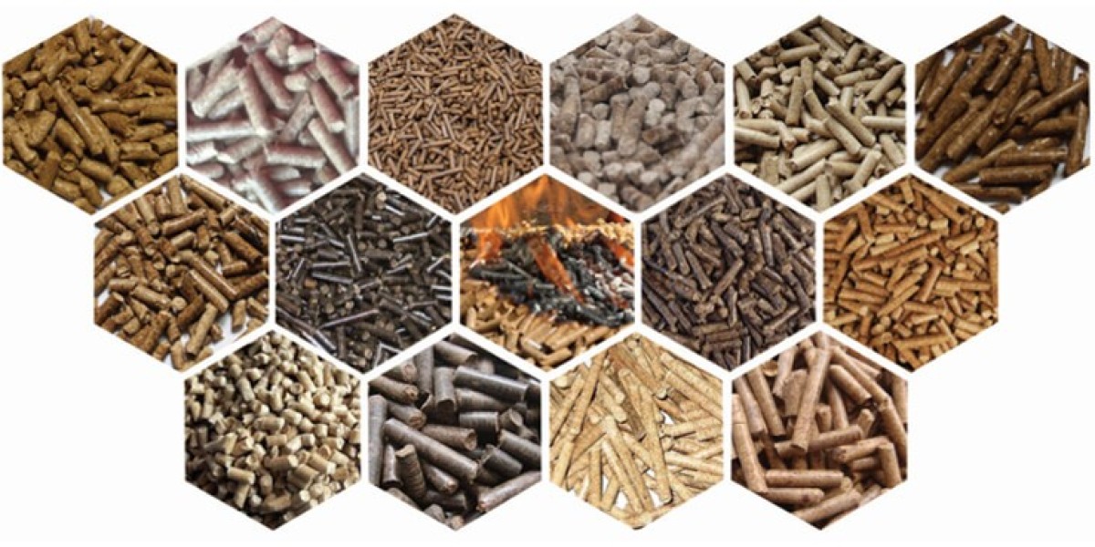 Biomass Pellets Market to Reach USD 18.59 Billion, Globally, by 2033 at  5.9% CAGR: We Market Research