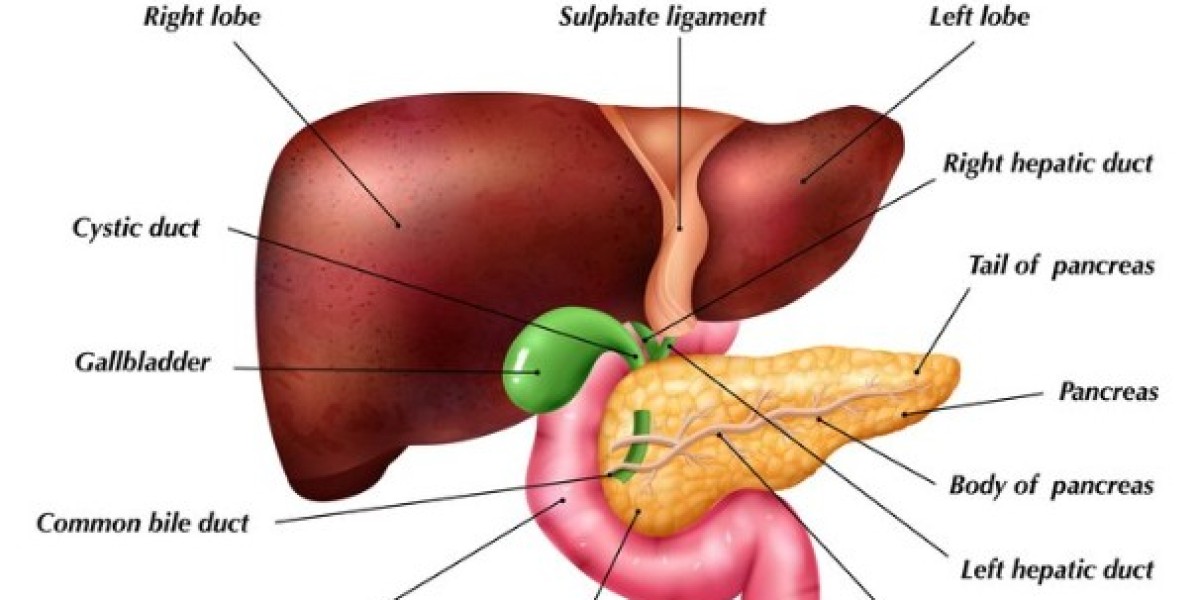 Best Gallbladder Removal Surgery in Delhi: Top Surgeons and Clinics You Can Trust