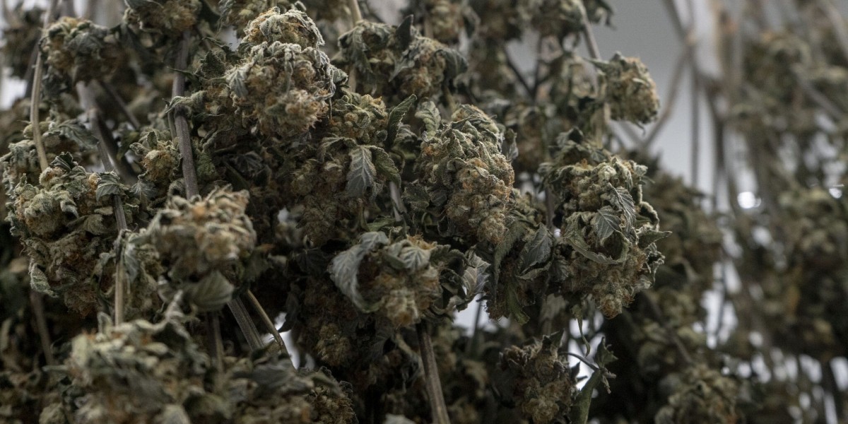 Experience Seamless and Discreet Weed Delivery in Queens: Your Ultimate Guide to Hassle-Free Cannabis Delivery