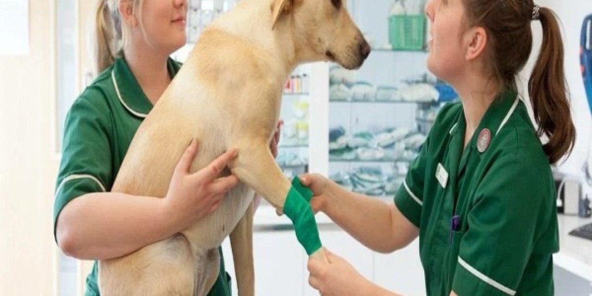 Europe Animal Healthcare: Europe's Booming Animal Healthcare Industry