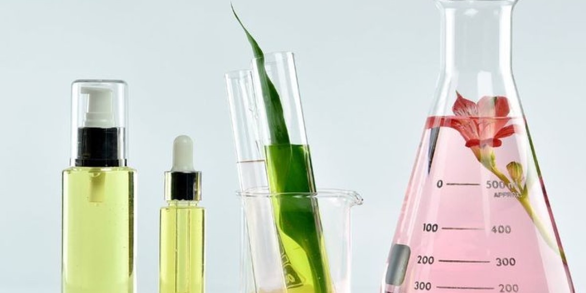 Beverage Botanical Extracts: Trends and Market Insights