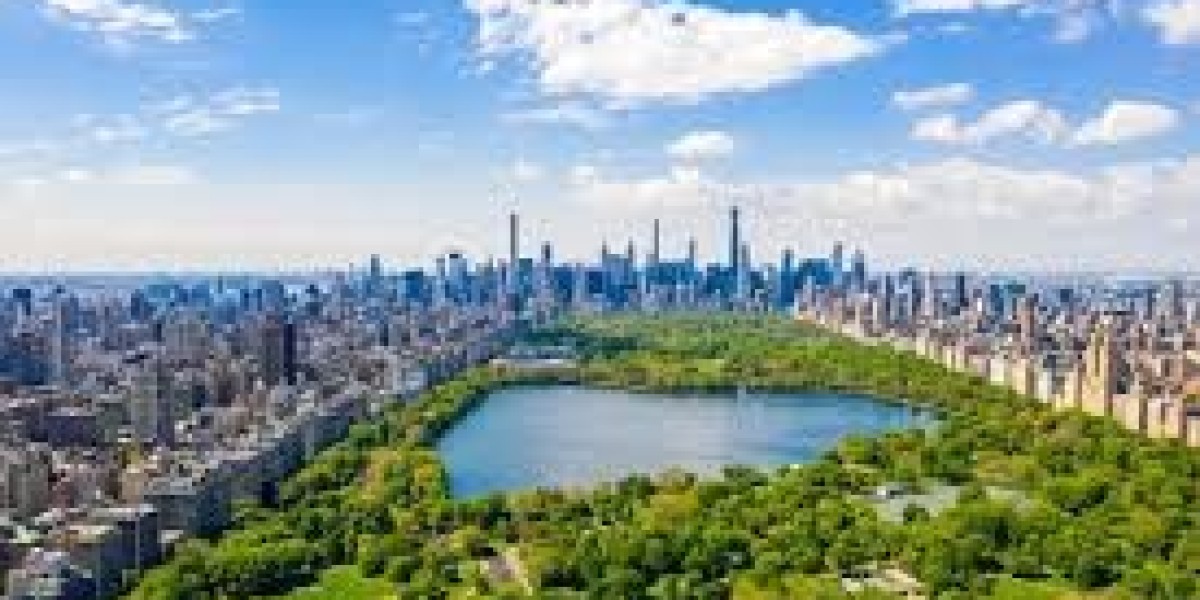 Ultimate Guide to Things to Do in the Big Apple