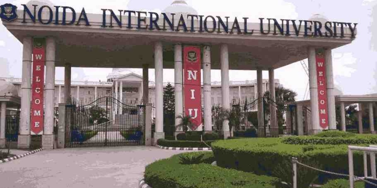 Why Choose Noida International University? A Pathway to a Bright Future