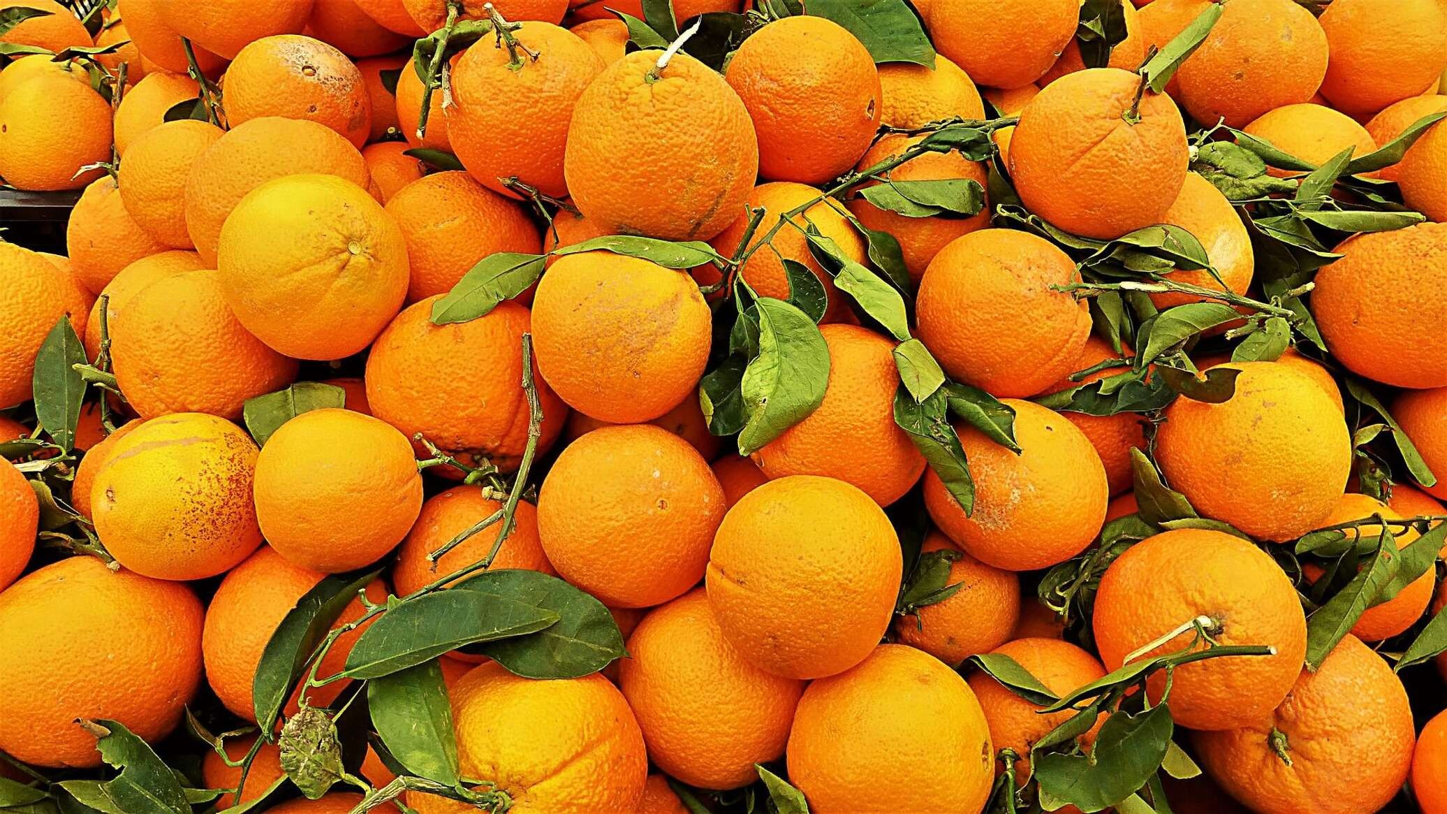 Citrus Flavour Market