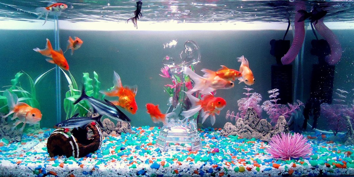 Aquarium Water Treatment Market: The Rise of Smart Water Treatment Devices and Automation