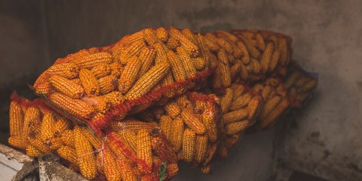 Hominy Feed: Exploring the Benefits and Significance of Corn-based Livestock Feeds An In-depth Analysis