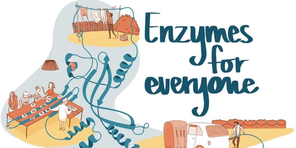 Enzyme Market to Witness Strong Growth, Surpassing $27 Billion by 2034
