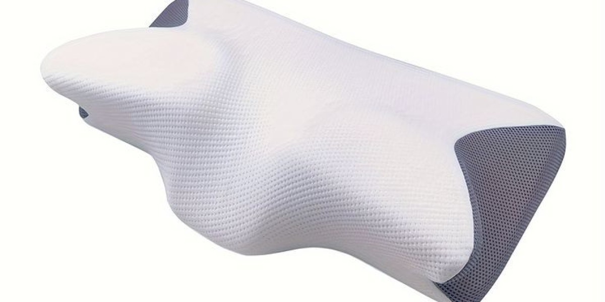 Cervical Pillow Market Size Forecast: Key Trends and Demand Outlook in Value and Volume