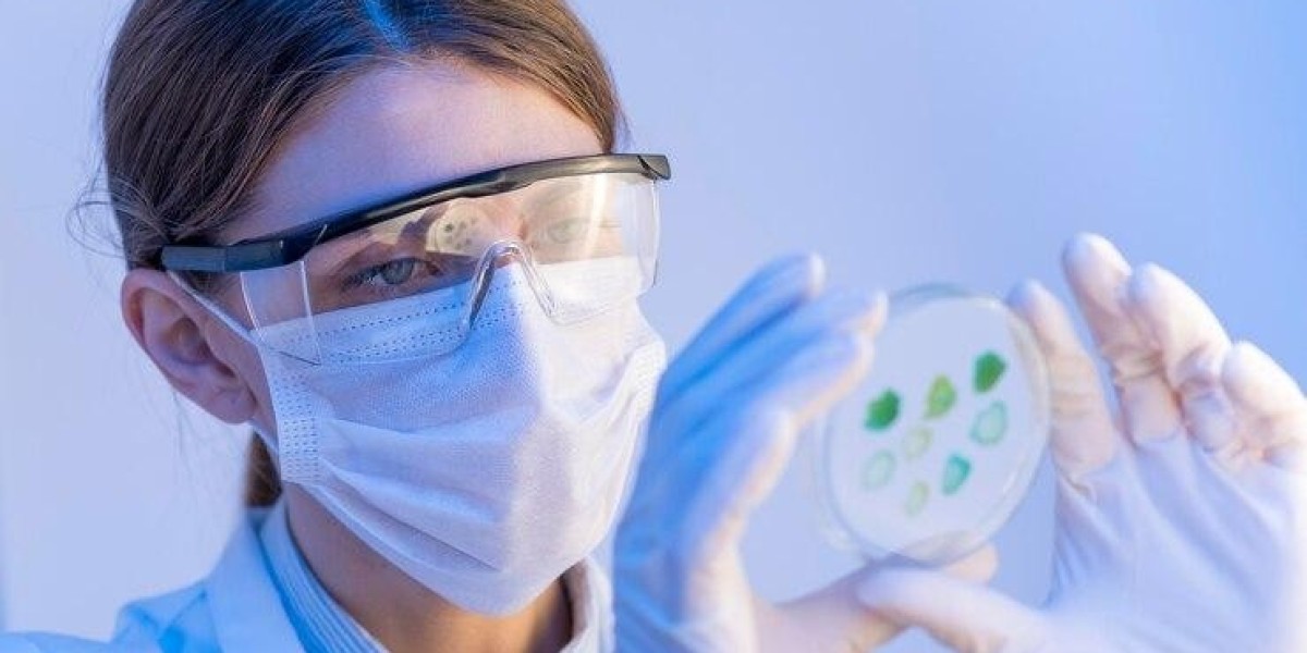 Understanding France's In-Vitro Diagnostics Market Size, Trends, and Opportunities