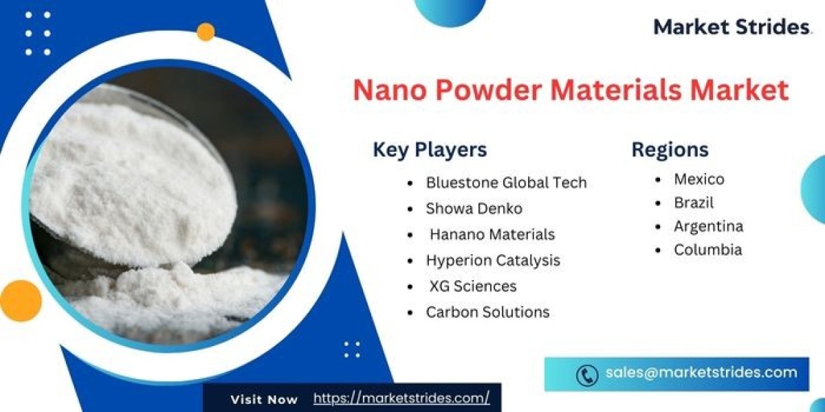 Nano Powder Meterials Market Size and Future Trends, 2025-2033