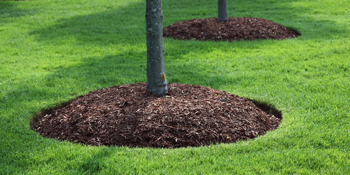The Benefits and Best Practices of Mulch Installation by Berkeley Landscape Design