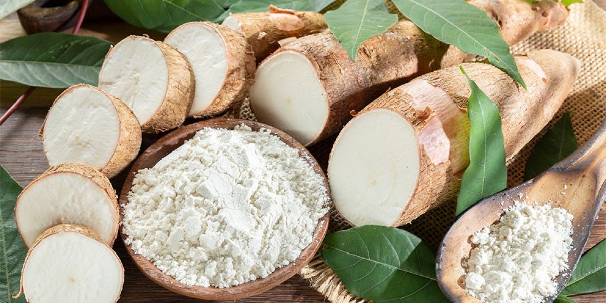Organic Starch Market Strategic Moves and Intelligence: Pain Points and Solutions for Success