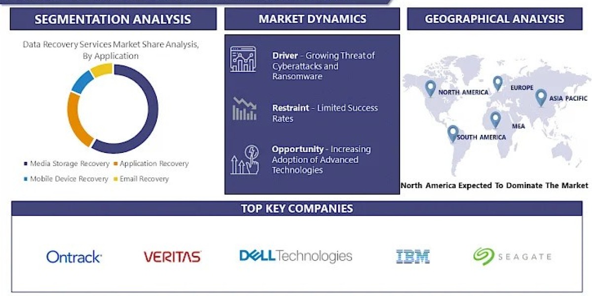 Data Recovery Services Market Share, Growth Analysis and Revenue | IMR