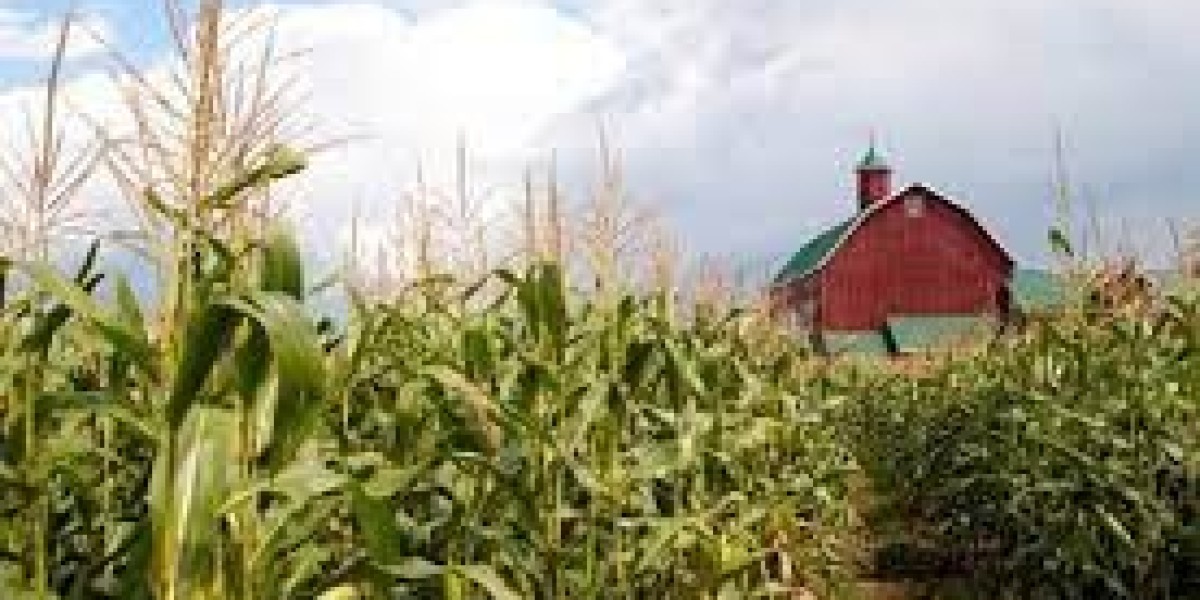 Renewable Solvent Market Insights, Size and Forecast 2024-2032