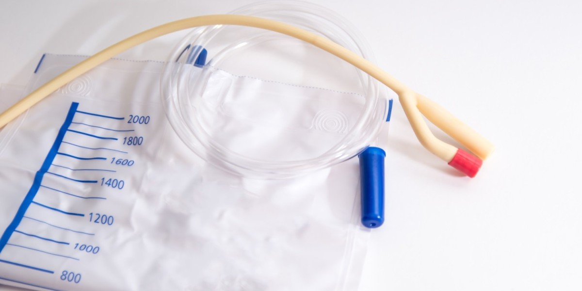 Urinary Bag Market Overview and Forecast: Identifying Key Market Segments, Competitive Landscape