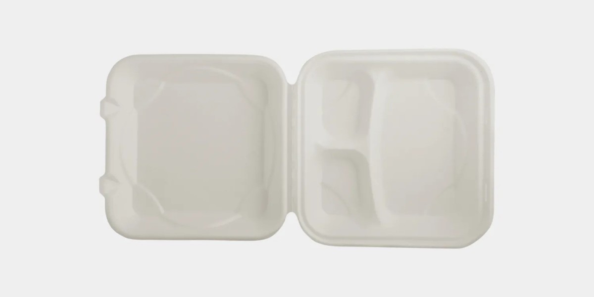 Choosing the Best Material for Biodegradable Food Containers: Insights from Leading Manufacturers