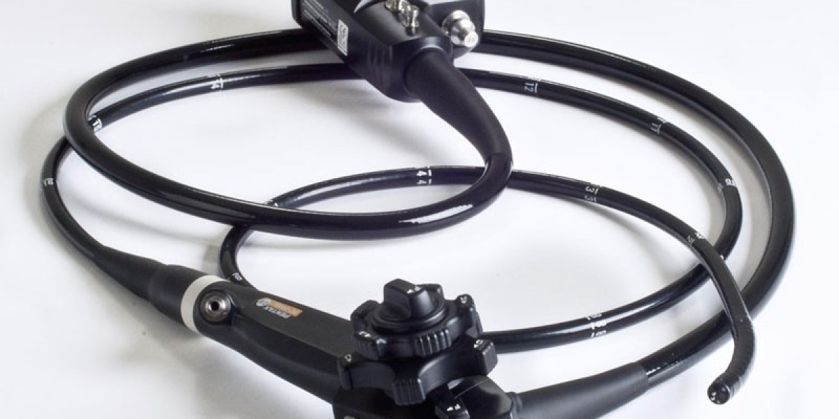 Veterinary Endoscope Market: How Minimally Invasive Procedures Are Transforming Pet Healthcare