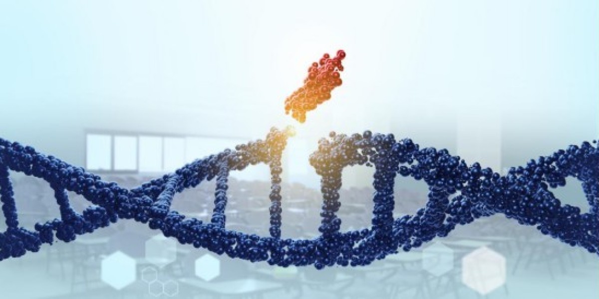 Understanding ADCs Linker: Advancements in ADC Linkers Development and Their Role with Cytotoxins