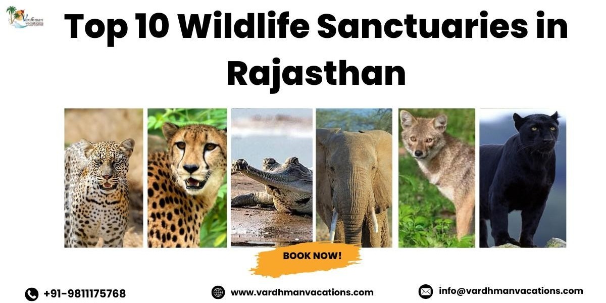 Top 10 Wildlife Sanctuaries in Rajasthan