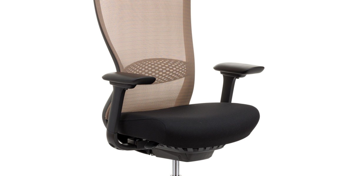 Ergonomic Chair Market Regional Forecasts: Analyzing Growth Potential and Consumer Preferences Across Major Markets