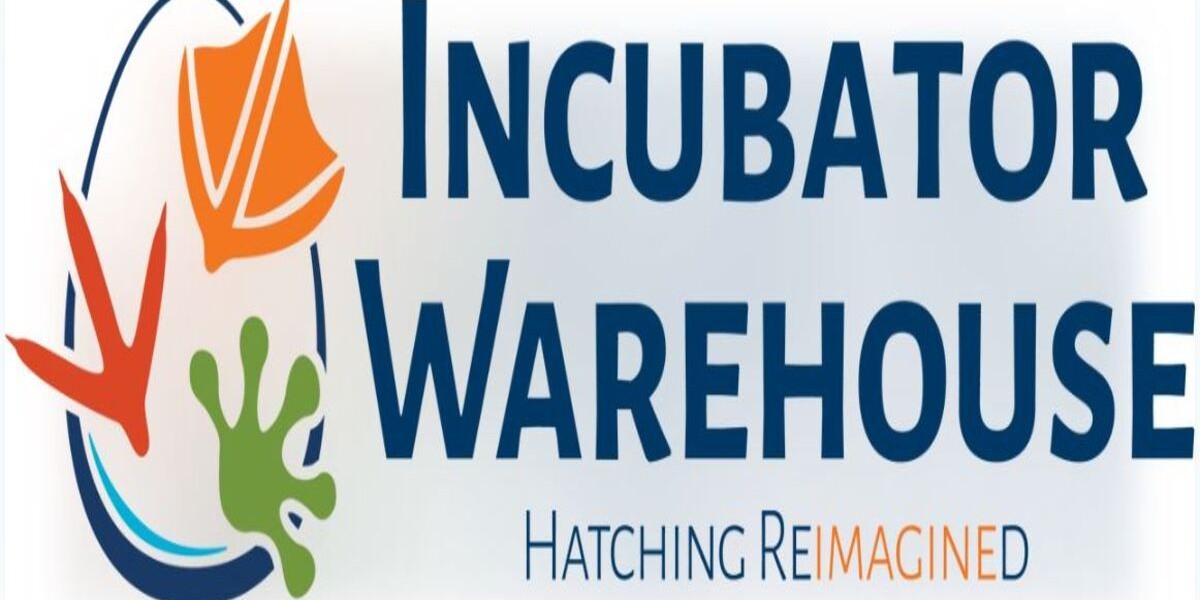 How an Egg Incubator Machine Can Improve Your Hatching Success