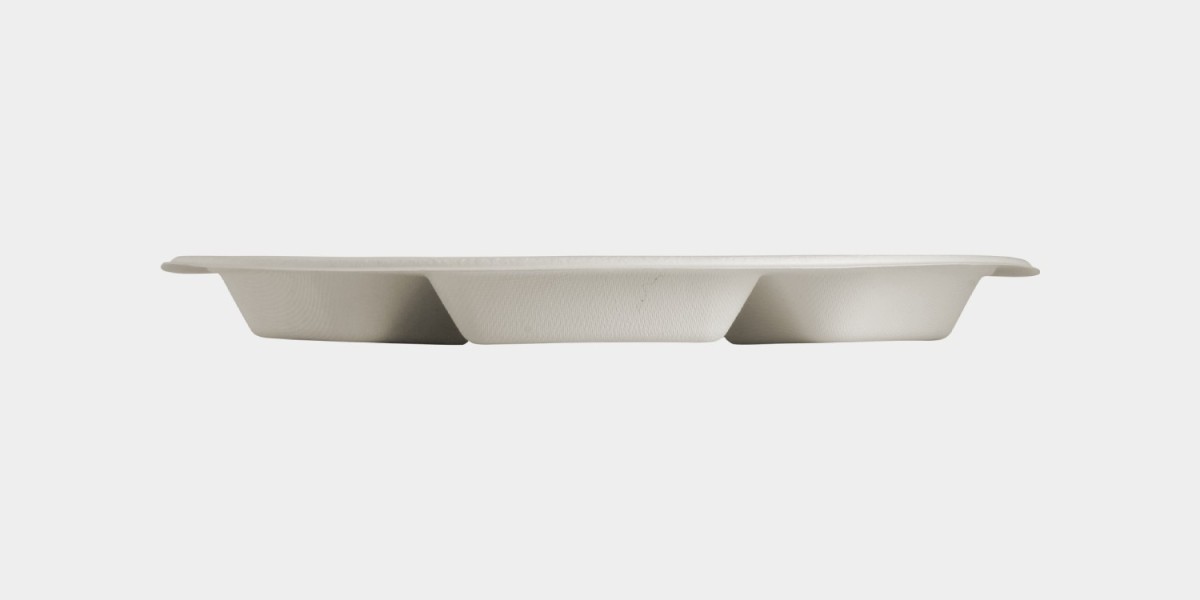 The Cost Efficiency of Compostable Plates for Small to Mid-Sized Hotels in the USA