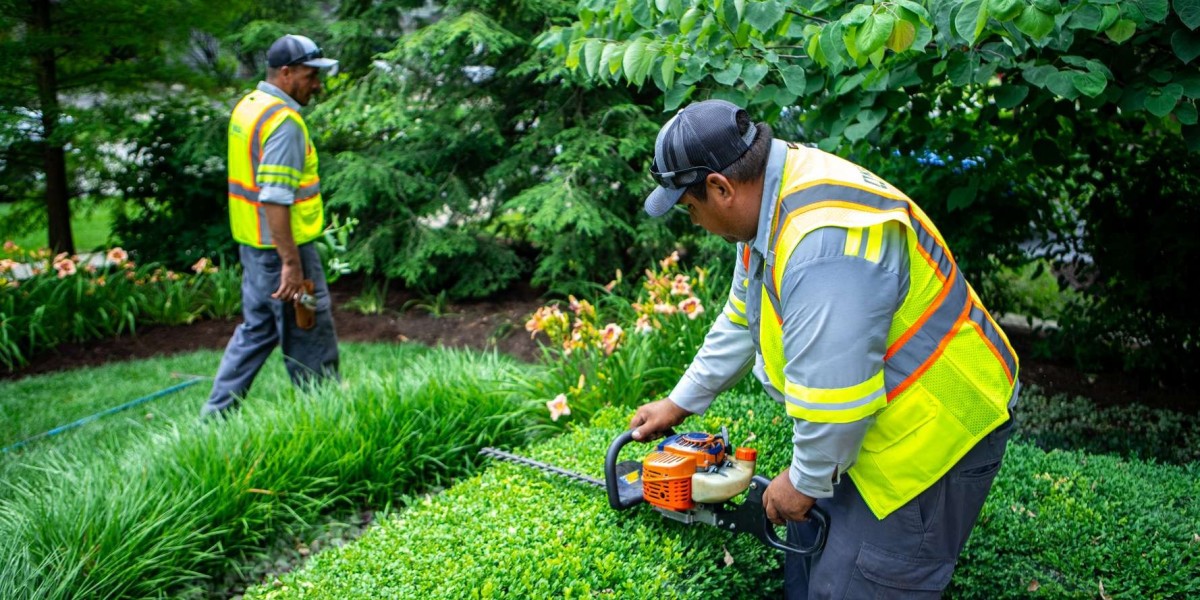 Berkeley Landscape Design: The Art and Science of Landscape Maintenance