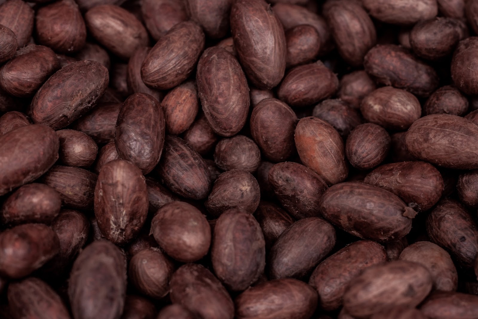 cocoa market