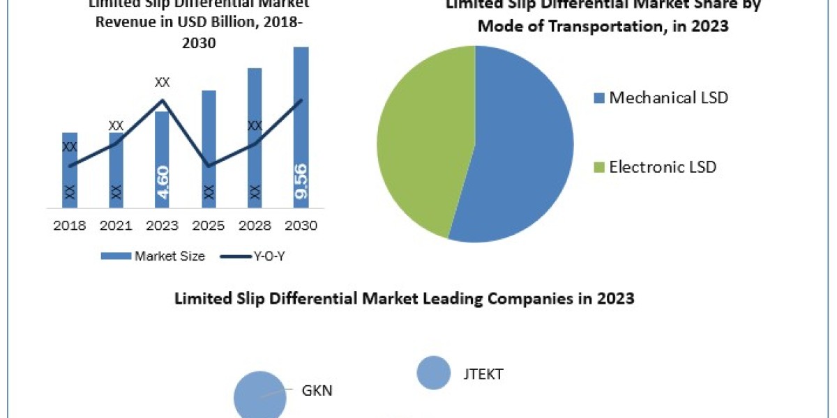 Global Limited Slip Differential Market Metrics Marvels: Size, Share, Revenue, and Worth Statistics  2024-2030