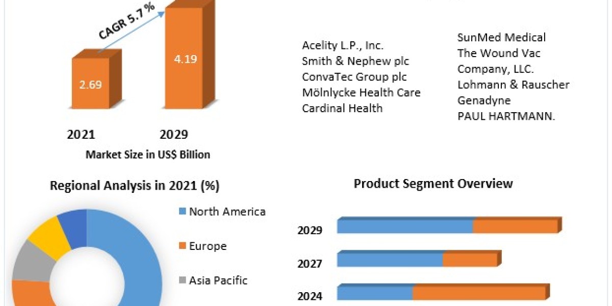 Negative Pressure Wound Therapy Market Deep Dive: Regional Output and Country-Level Growth Patterns