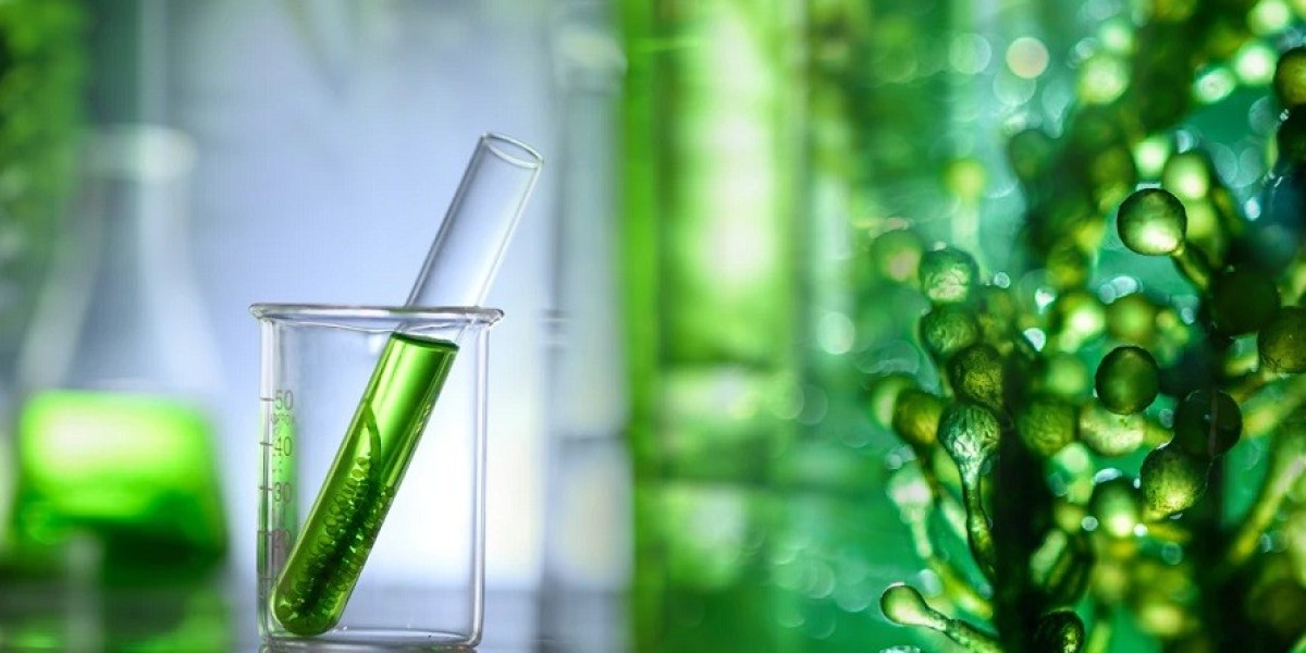 Biofuel Manufacturing Plant Report 2024: Business Plan, Project Cost and Profit Margin