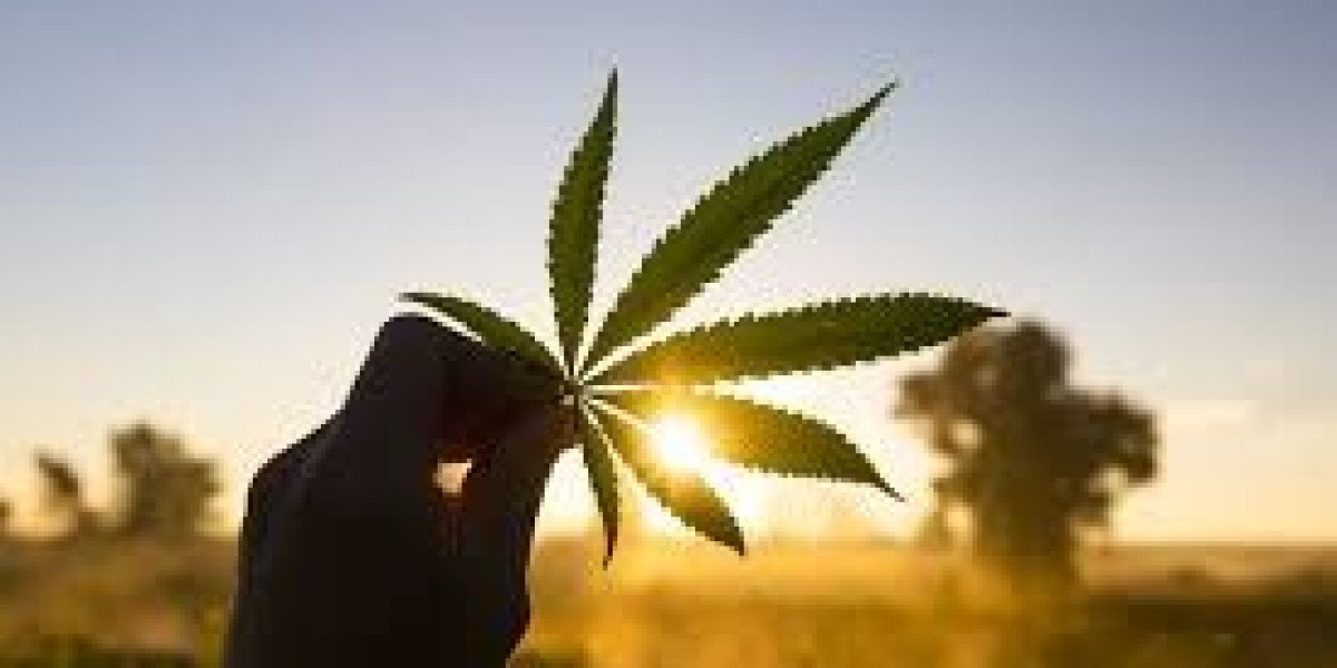 Global Legalized Cannabis Market Trends and Forecast: Impact of COVID-19, Key Segments, and Regional Insights