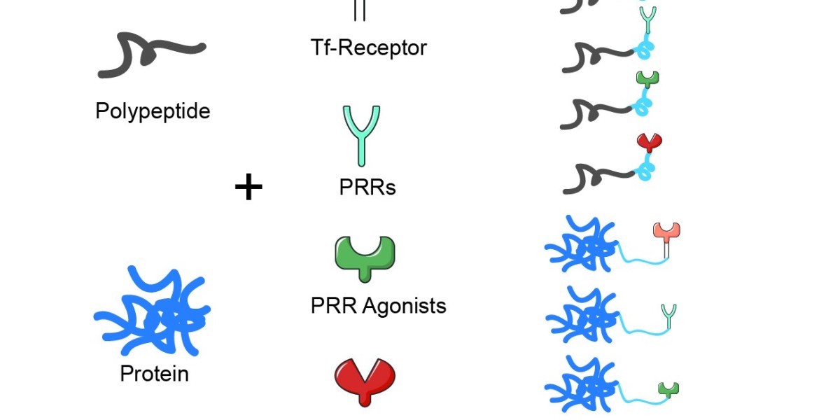 Agonist-Based Adjuvants for Enhanced Vaccine Efficacy