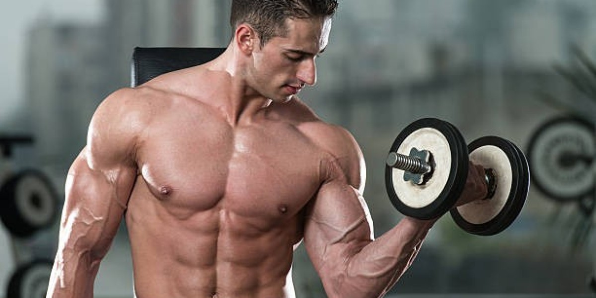 Best Legal Steroids for Muscle Gain and Bulking: Affordable Legal Steroids for Gains