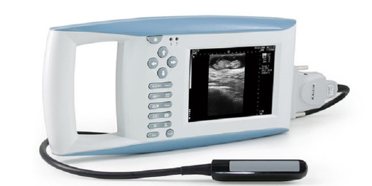 Veterinary Ultrasound Scanner Market Insights: Strategic Opportunities, Technological Advancements, and Industry Forecas