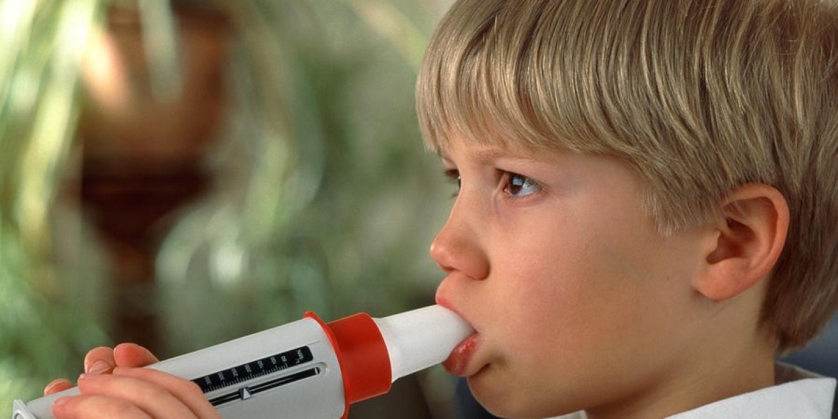 Peak Flow Meter Market: Key Factors Fueling Growth in Respiratory Disease Management