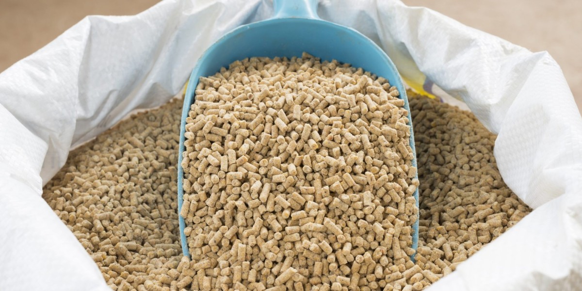 Feed Enzymes Market: Key Trends, Segment-wise Forecasts, and Insights on Country & Regional Markets