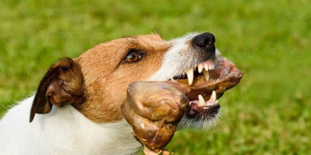 Can Dogs Eat Chicken Bones? Effective Home Remedies For Dogs Who Ate Chicken Bones