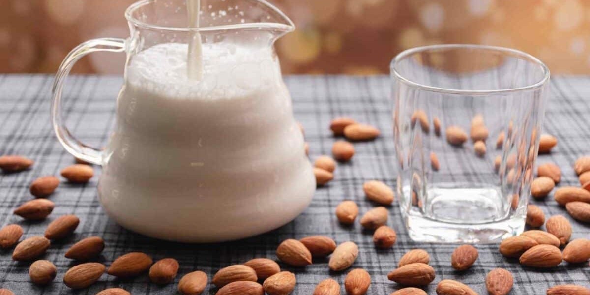 Almond Milk Market Insights: Health, Innovation, and Sustainability Trends