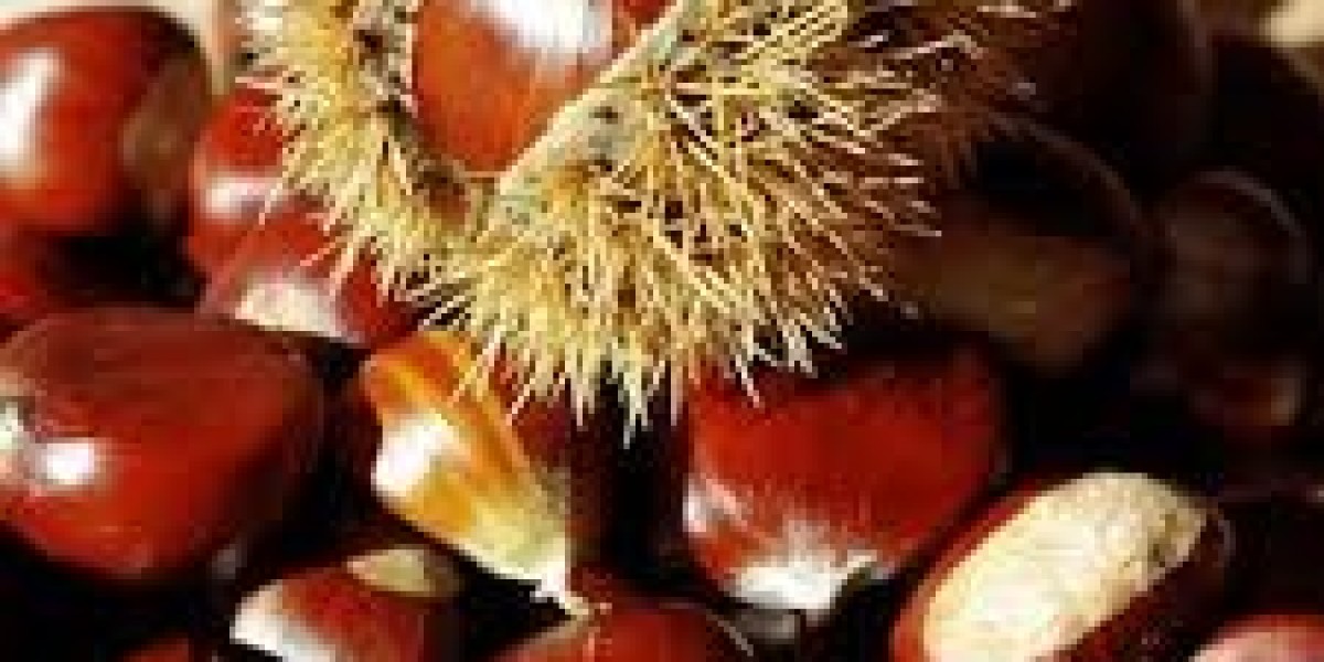 High Nutrient Content in Chestnuts Fuels Market Growth to 2034
