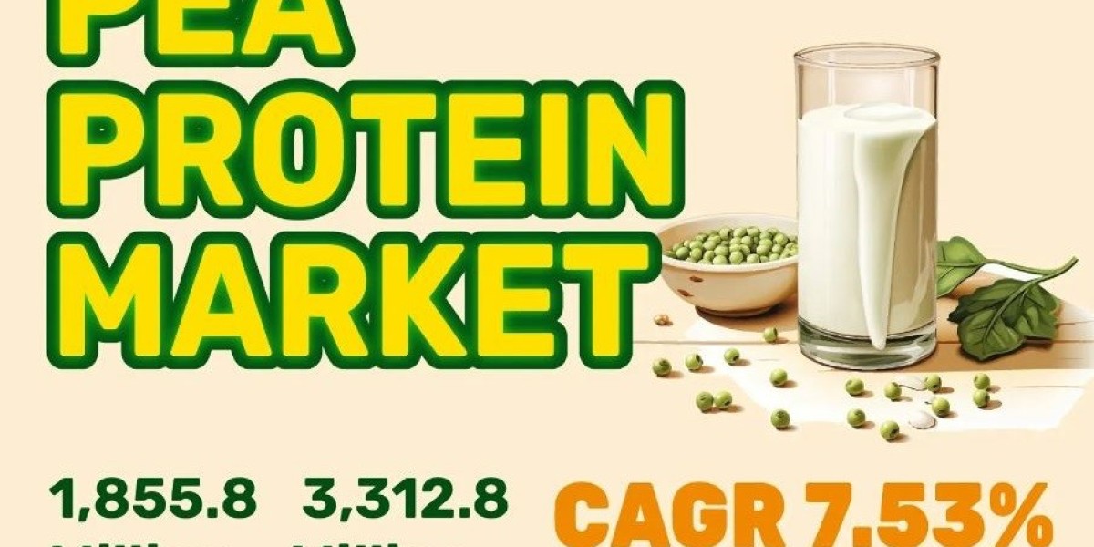 Pea Protein Market Global Industry Set to Attain Revenue Worth USD 1,855.8 Million by 2031, Projected Growth at 7.53%: K